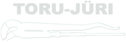 partner torujuri